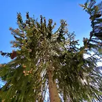 מלון Brunnwald באד לאונטלדן