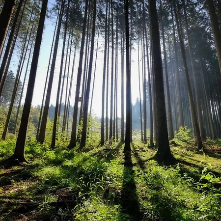 Otel Brunnwald Bad Leonfelden