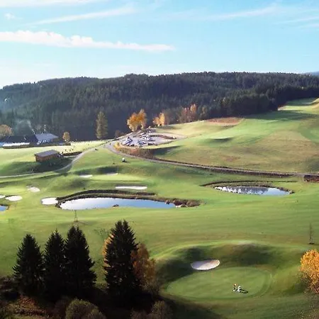 ホテル Brunnwald 4*
