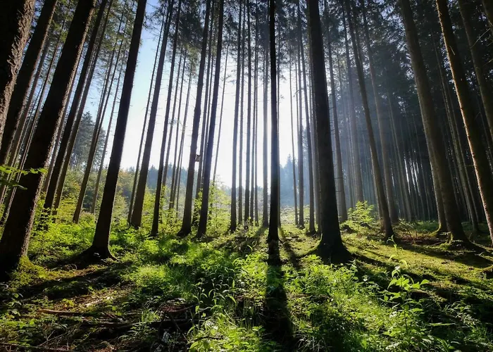 Hotel Brunnwald Bad Leonfelden