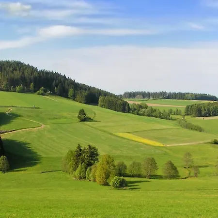 Brunnwald Hotel 4*