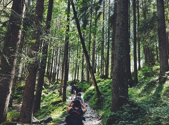 Brunnwald فندق 4*