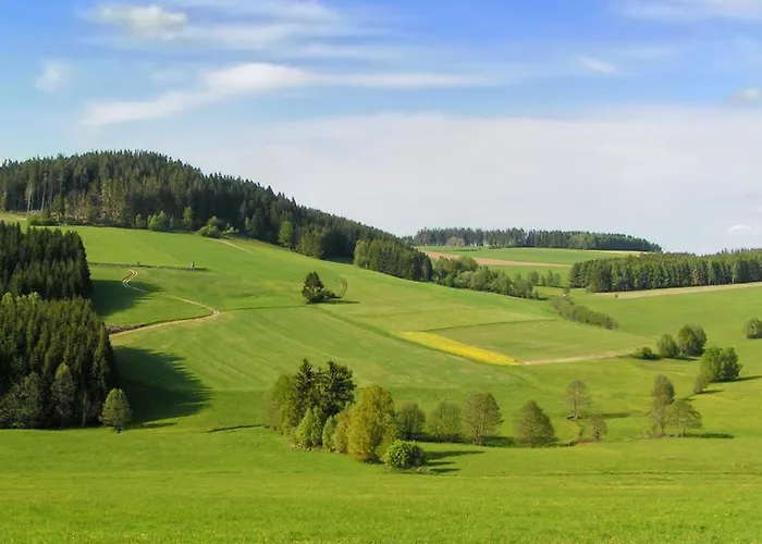 Brunnwald فندق 4*